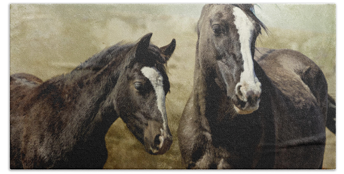 Pryor Mustangs Hand Towel featuring the photograph Feldspar and Ohanzee - Pryor Mustangs by Belinda Greb