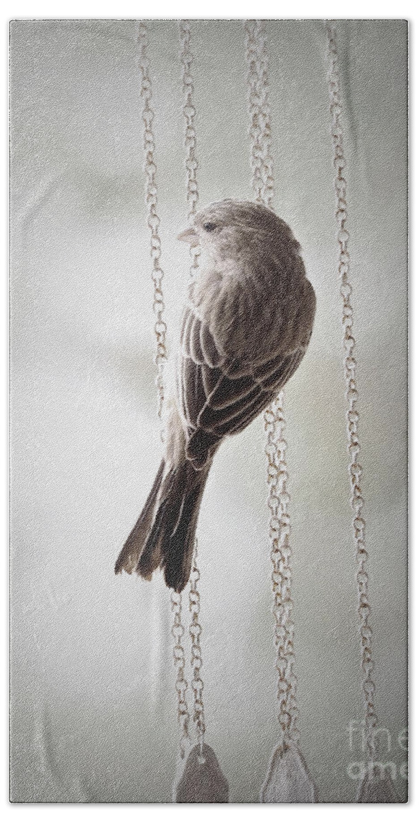Birds Hand Towel featuring the photograph Scout by Parrish Todd