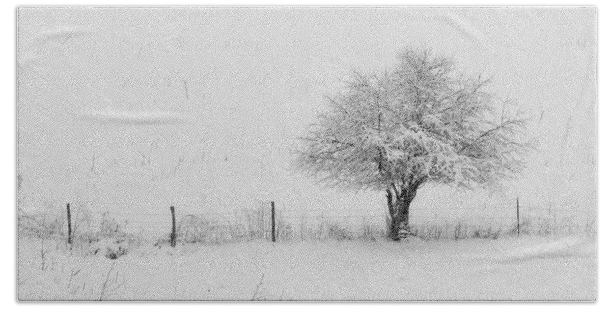 Fence Bath Towel featuring the photograph Fence line in the Wintertime by Holden The Moment