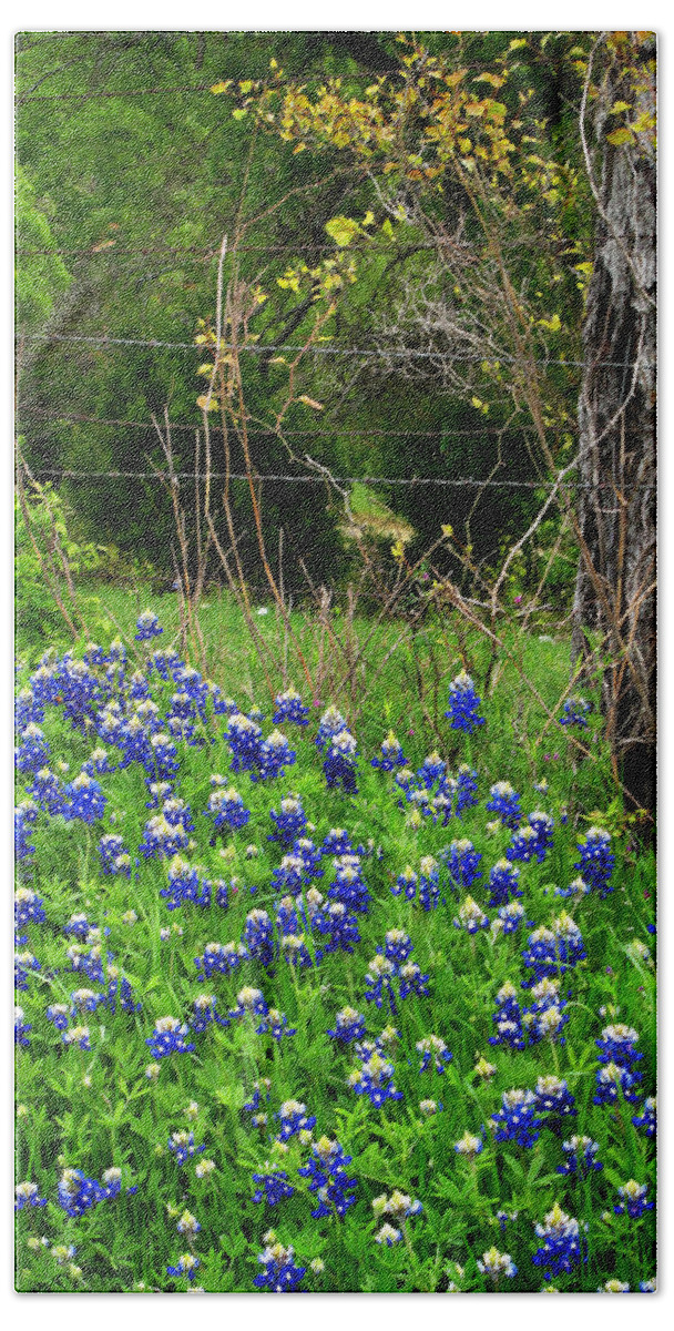 Blue Bath Towel featuring the photograph Fenced In Bluebonnets by David and Carol Kelly