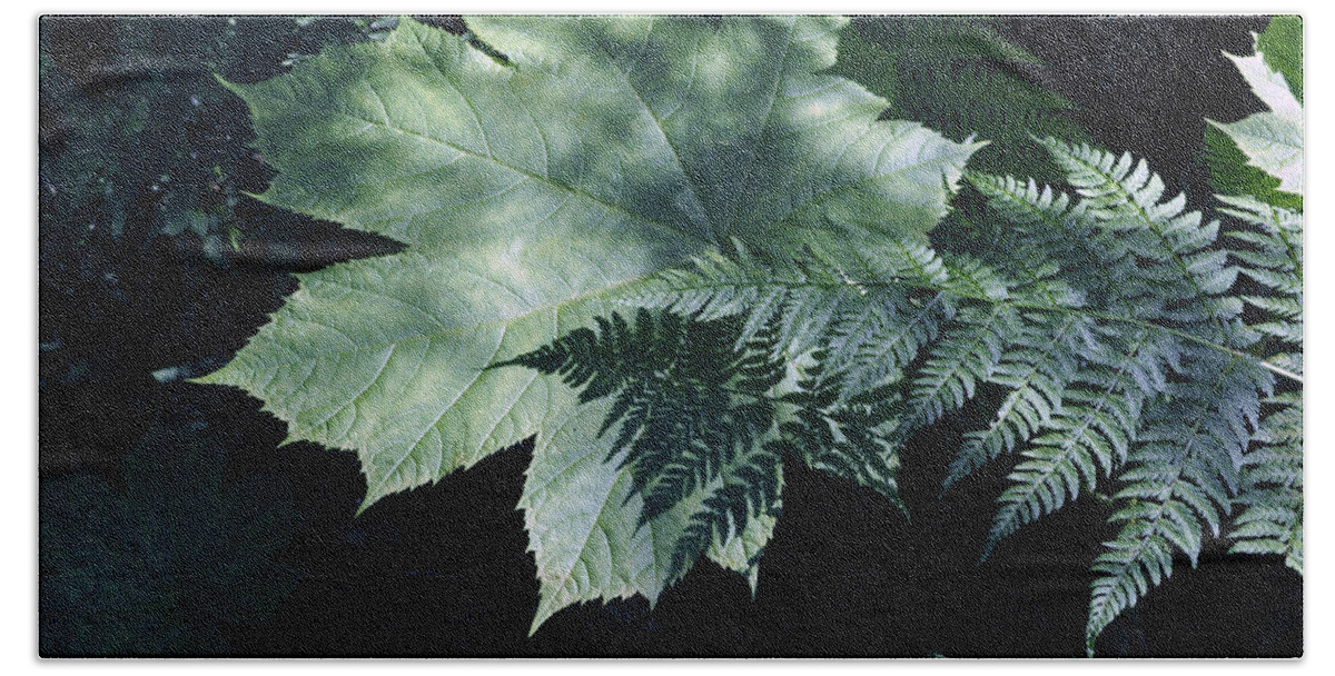 Fern Hand Towel featuring the photograph Fern Shadows by Cathy Mahnke