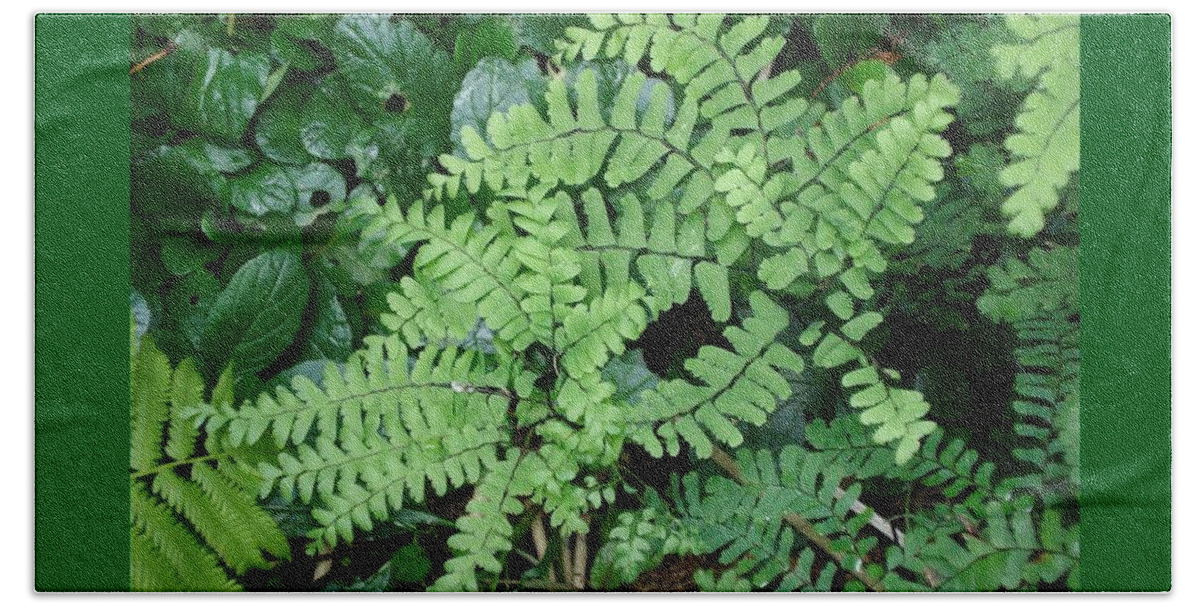 Fern Bath Towel featuring the photograph Ferns-III by Patricia Overmoyer