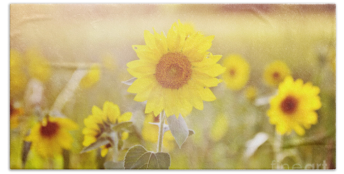Sunflower Bath Towel featuring the photograph Field of Sunshine by Scott Pellegrin