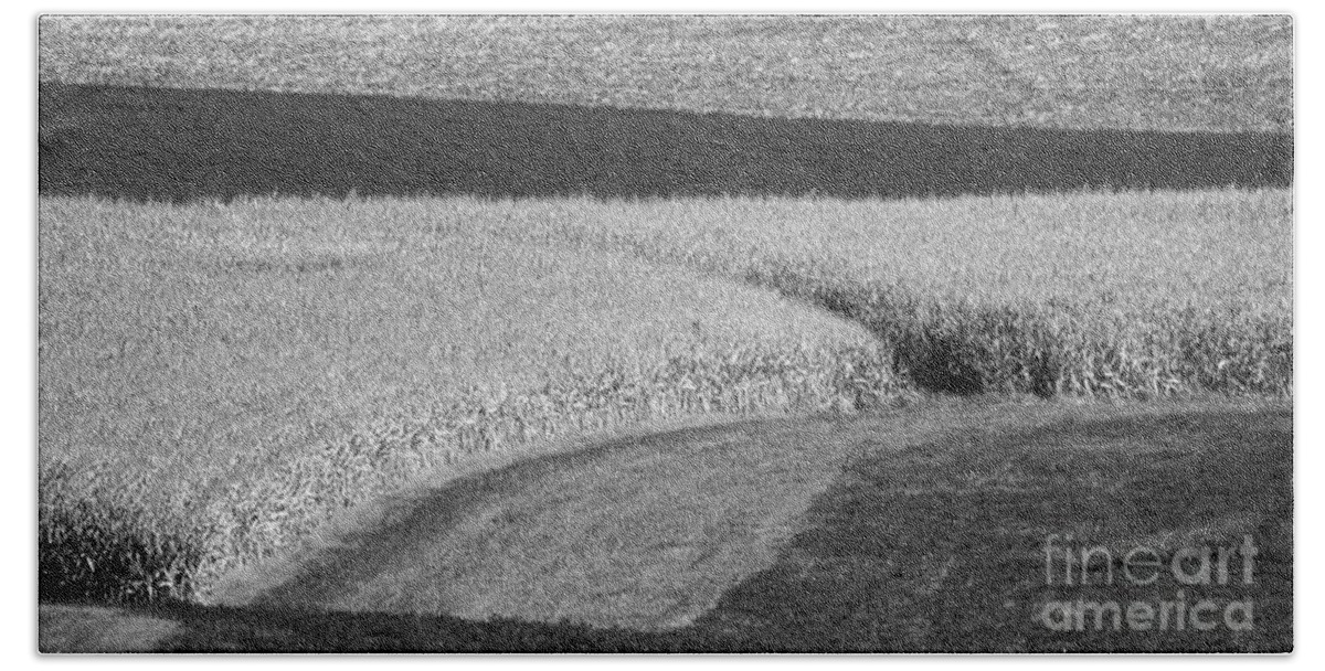 Fields Bath Towel featuring the photograph Corn Fields near Madison, WI by Steven Ralser