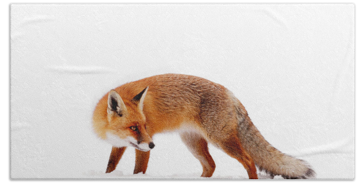 Fox Bath Towel featuring the photograph Fire 'n Ice by Roeselien Raimond
