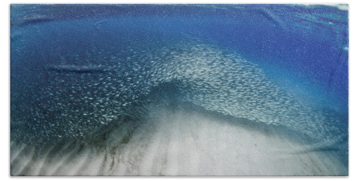 Sea Bath Towel featuring the photograph Fish wave. by Sean Davey