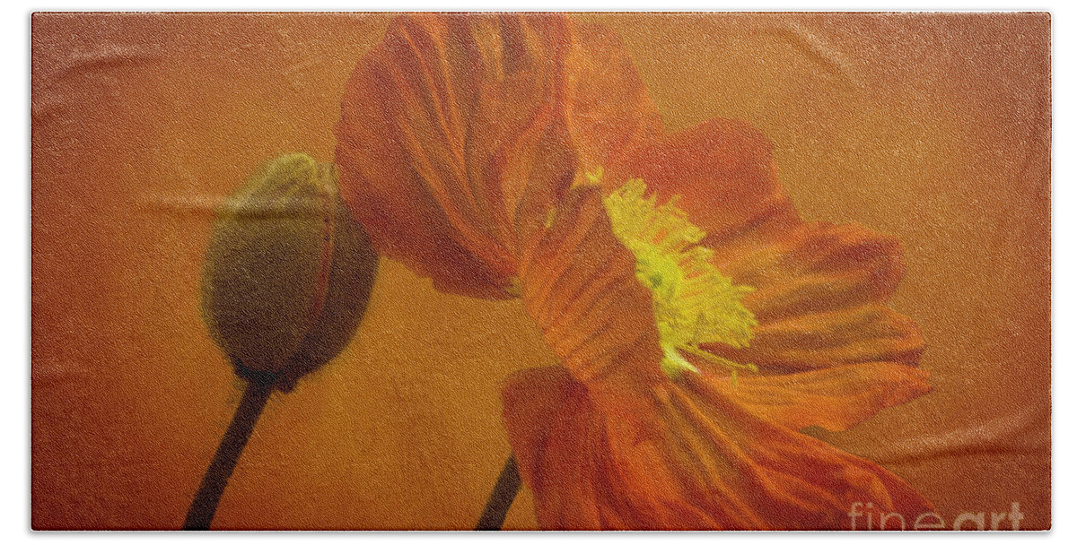Orange Bath Towel featuring the photograph Flaming Beauty by Heiko Koehrer-Wagner