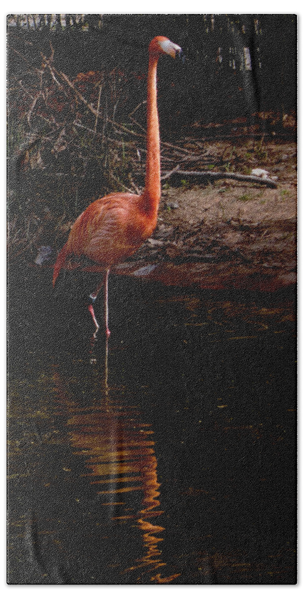 Flamingo Bath Towel featuring the photograph Flamingo at rest. by Weston Westmoreland