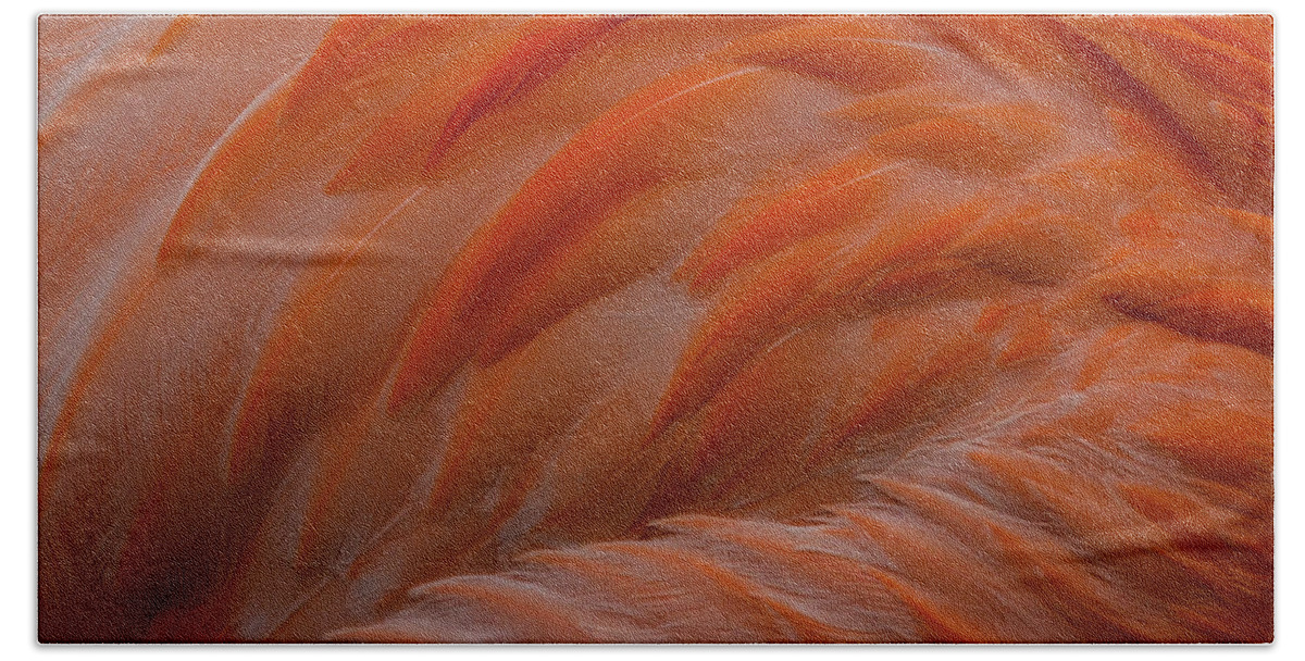 Flamingo Feathers Bath Towel featuring the photograph Flamingo Feathers by Michael Hubley