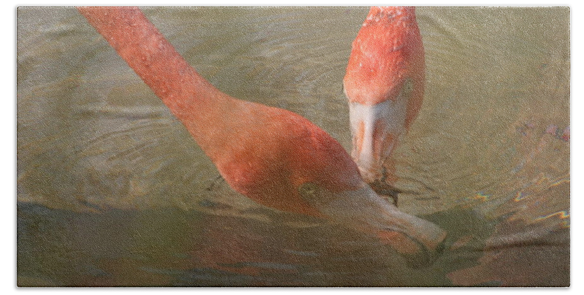Flamingo Bath Towel featuring the photograph A Pair of Flamingoes by Valerie Collins
