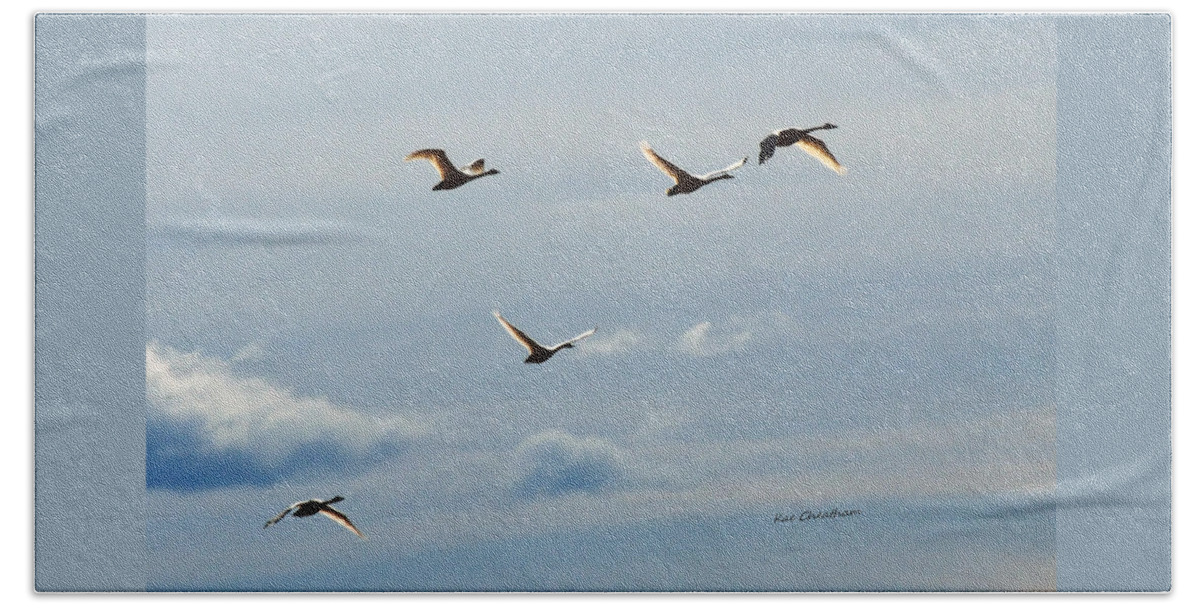 Birds Flying Hand Towel featuring the photograph Flights of Fancy 2 by Kae Cheatham