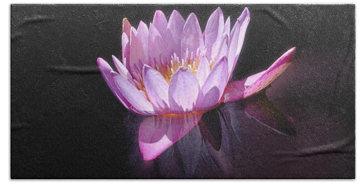 Waterlily Bath Towel featuring the photograph Floating Pink Lily by Mike Kling