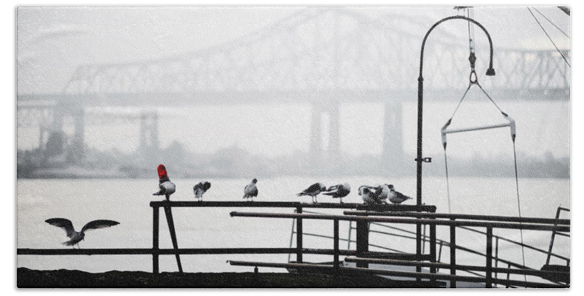 Gull Hand Towel featuring the photograph Flock by David Downs