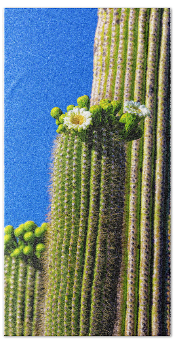 Flowers Hand Towel featuring the photograph Flores del Saguaro by Fred J Lord