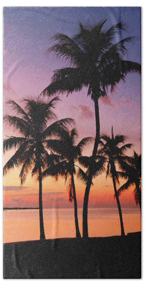 Sunset Hand Towel featuring the photograph Florida Breeze by Chad Dutson