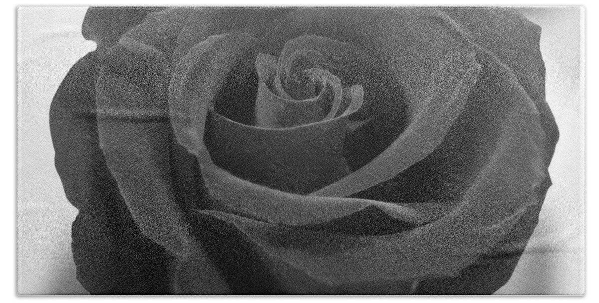 Rose Bath Towel featuring the photograph Dark Rose by Mike McGlothlen