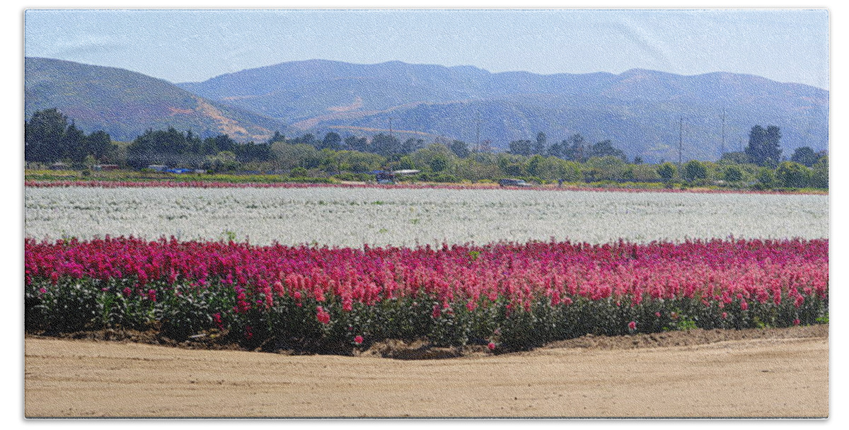 Flowers Bath Towel featuring the photograph Flower Fields of Lompoc Valley by AJ Schibig