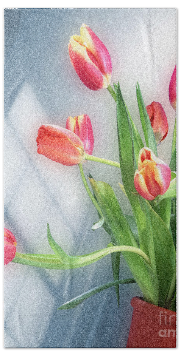 Red Bath Towel featuring the photograph Flowers by my Window by Edmund Nagele FRPS