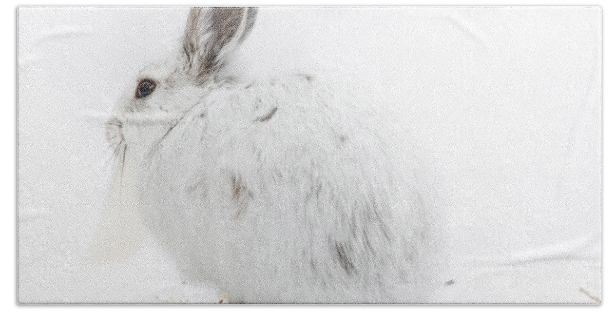 Landscape Bath Towel featuring the photograph Fluffy Winter Bunny by Cheryl Baxter