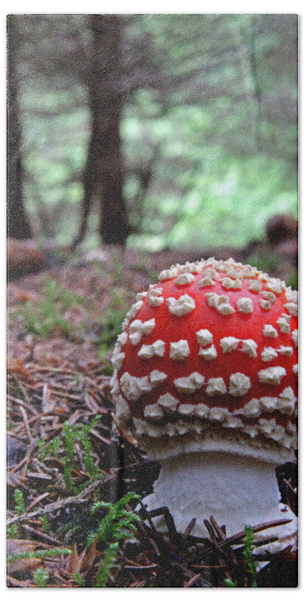 Fly Agaric Bath Towel featuring the photograph Fly Agaric Emerging by John Topman