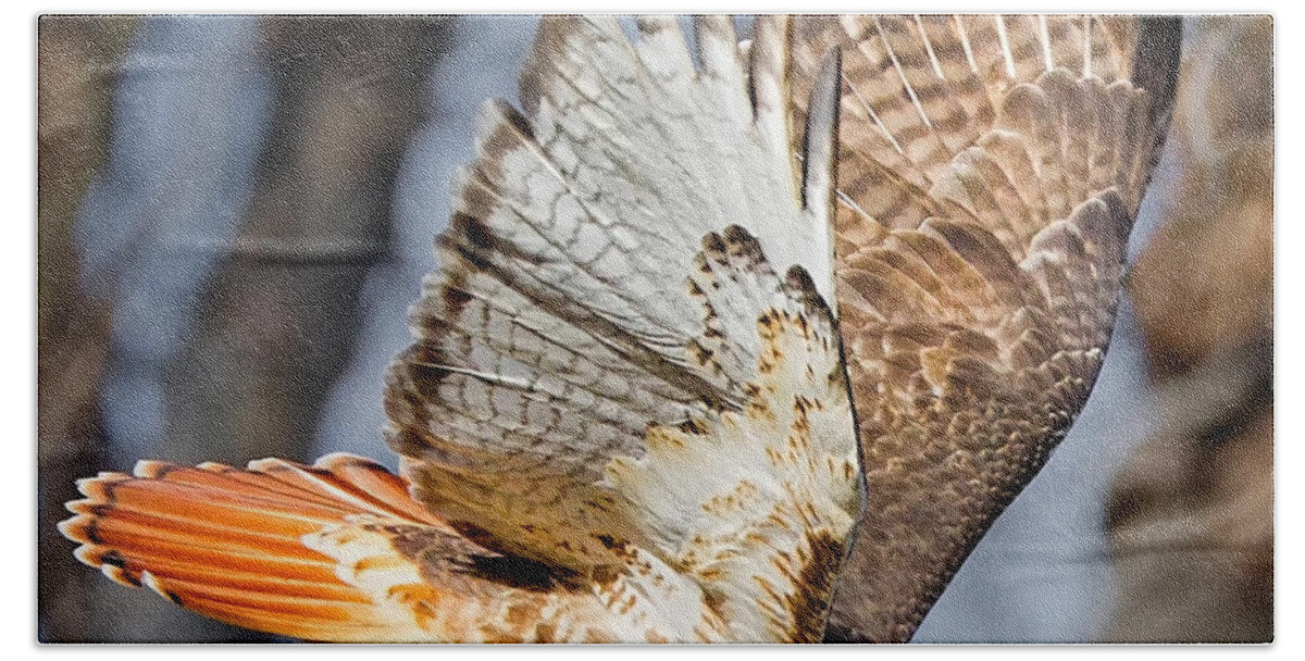 Redtail Hawk Bath Towel featuring the photograph Fly Away by Bill Wakeley
