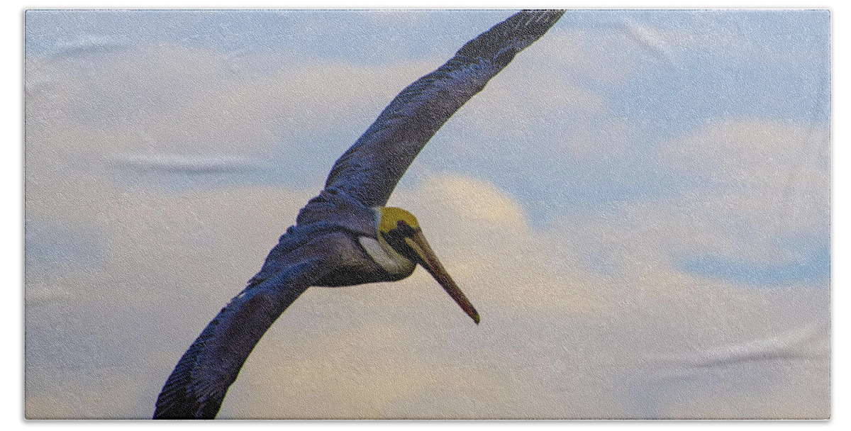 Pelican Bath Towel featuring the photograph Fly Away by Judy Wolinsky