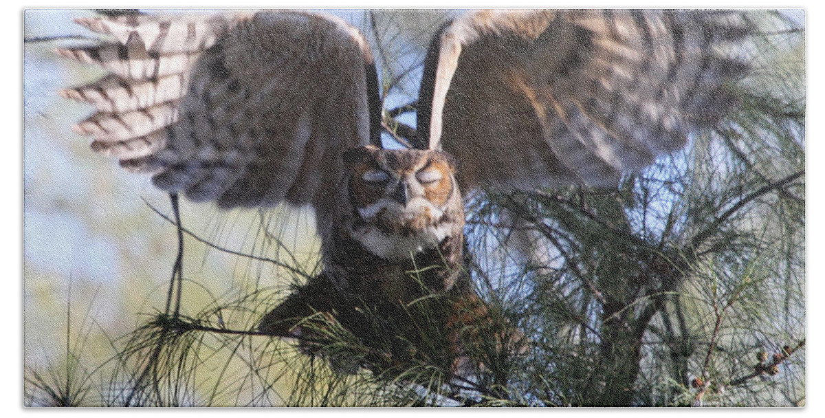 Great Horned Owl Hand Towel featuring the photograph Flying Blind - Great Horned Owl by Meg Rousher