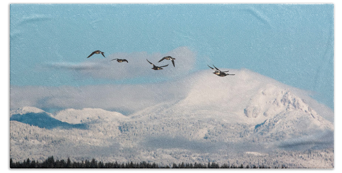 Geese Bath Towel featuring the photograph Flying North by Jan Davies