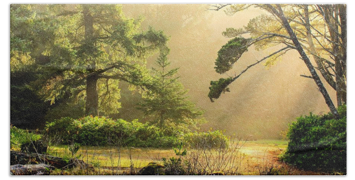 Landscape Hand Towel featuring the photograph Fog at Fogarty 0004 by Kristina Rinell