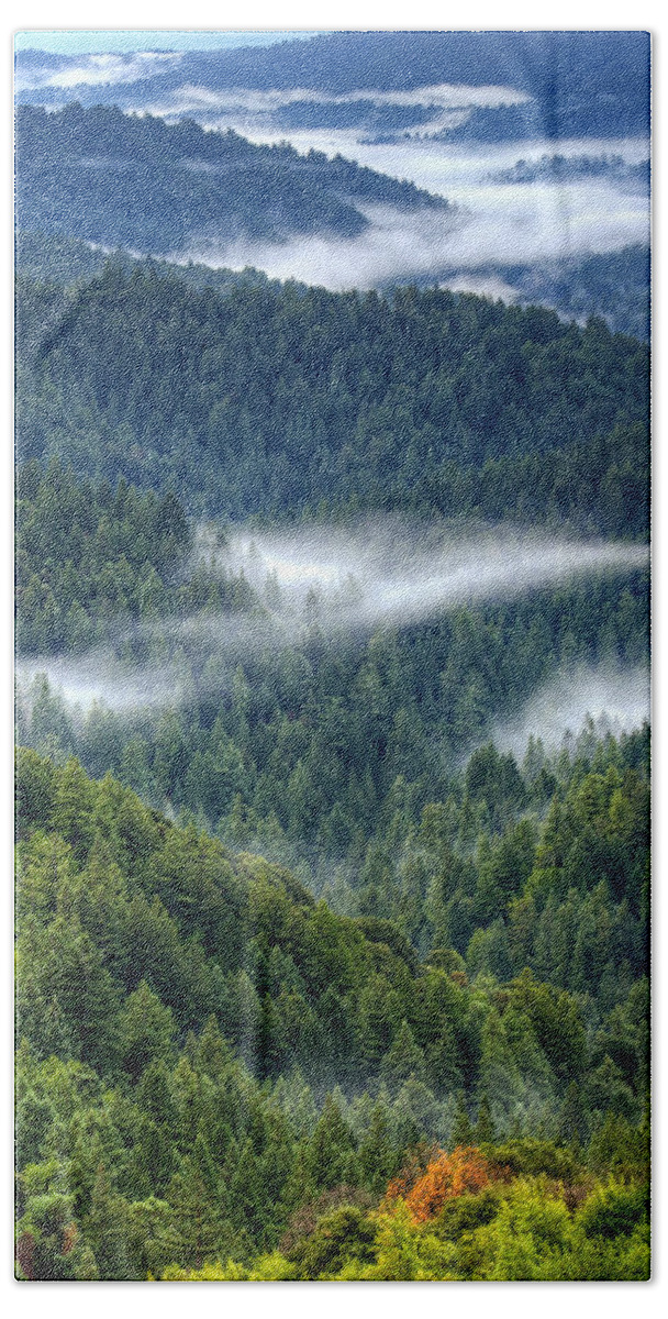 Santa Cruz Mountains Hand Towel featuring the photograph Fog in the Santa Cruz Mountains by Lisa Chorny