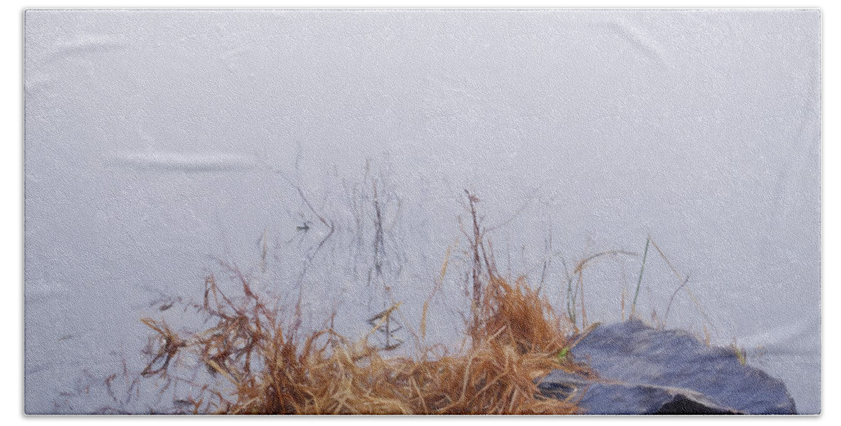 Pond Hand Towel featuring the mixed media Foggy Day at the Pond by Jean-Pierre Ducondi