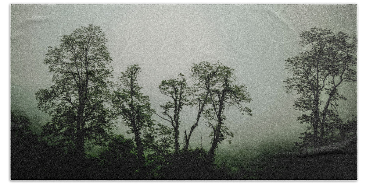 Blue Ridge Parkway Bath Towel featuring the photograph Foggy Mountain Morning at the Meadows of Dan by John Haldane
