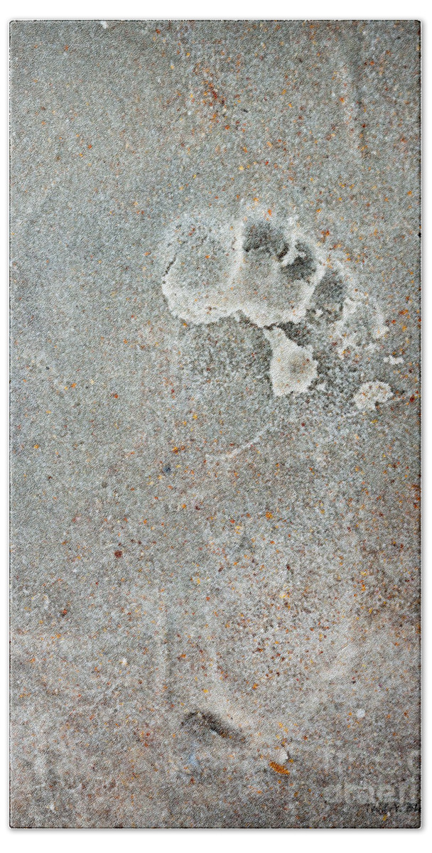 Footprint Bath Towel featuring the photograph Follow Me by Todd Blanchard