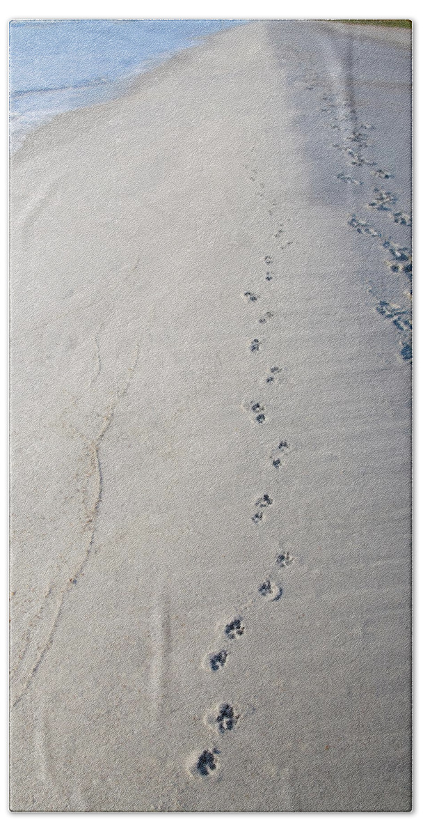 Footprint Bath Towel featuring the photograph Footprints and Pawprints by Diane Macdonald