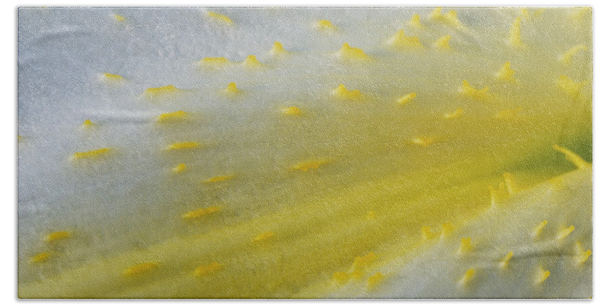 Yellow Bath Towel featuring the photograph For The Love Of Lilies 2 by Wendy Wilton