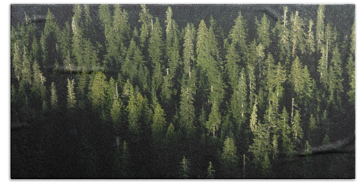 Feb0514 Bath Towel featuring the photograph Forest Aerial Olympic National Park by Mark Moffett