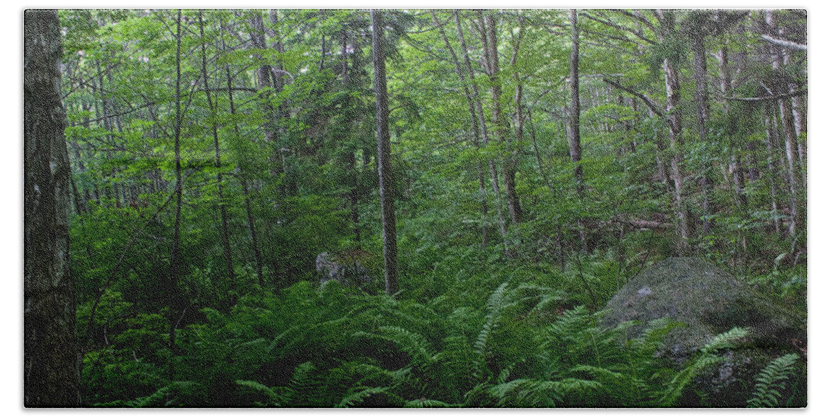 Landscape Bath Towel featuring the photograph Forest Green by Greg DeBeck
