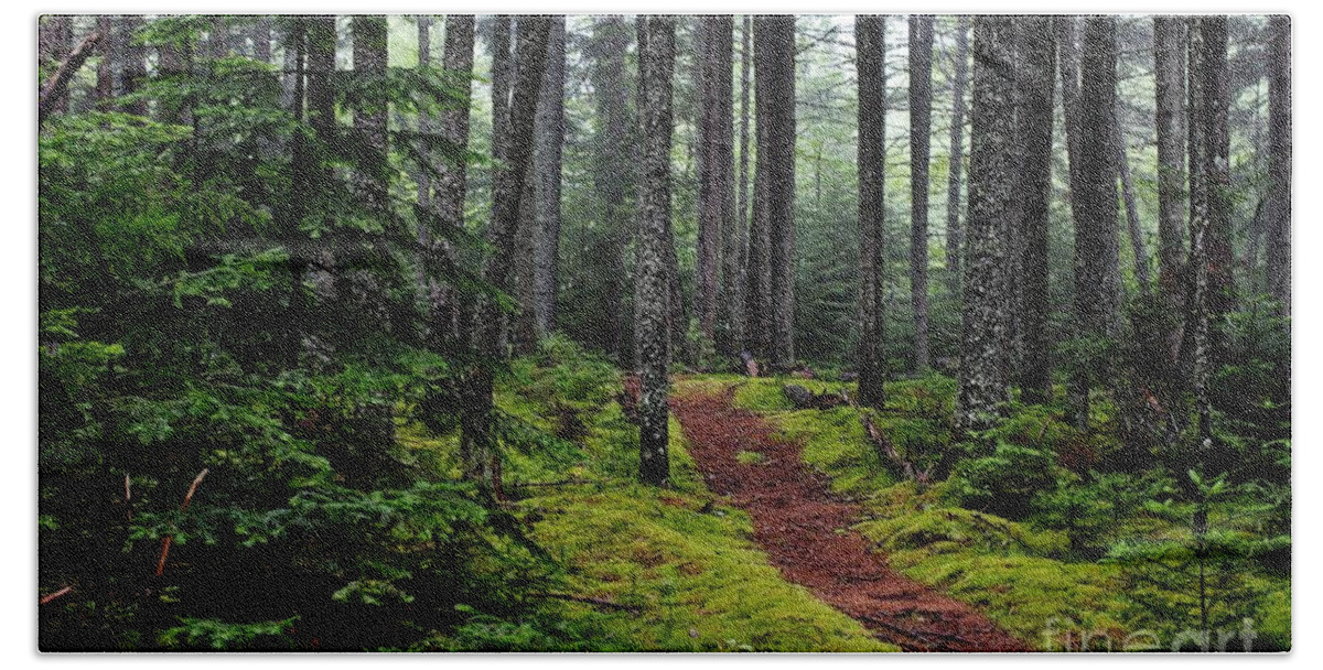 Woods Bath Towel featuring the photograph Forest by Karin Pinkham