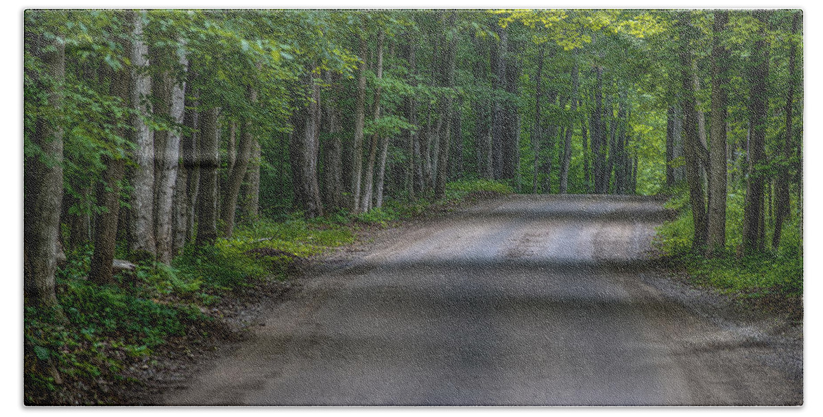 Pure Michigan Bath Towel featuring the photograph Forest Road by Sebastian Musial