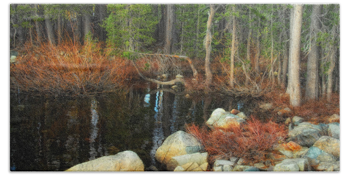Goose Lake Bath Sheet featuring the photograph Forgotten Forest by Donna Blackhall