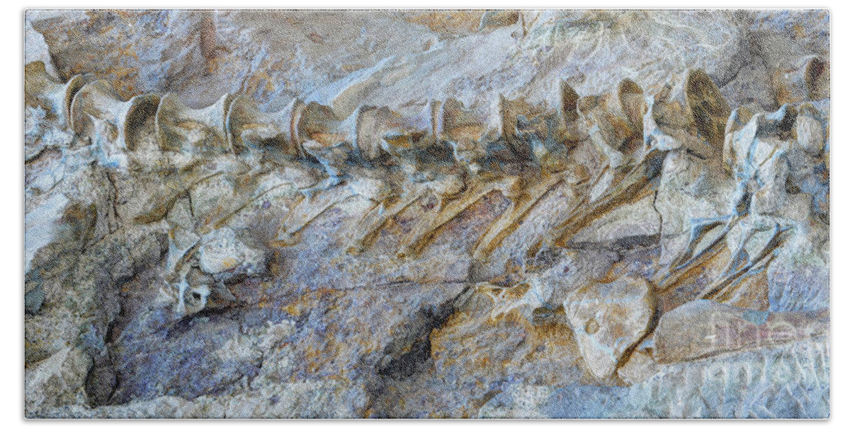 Fossil Hand Towel featuring the photograph Fossilized Dinosaur Backbone - Dinosaur National National Monument by Gary Whitton
