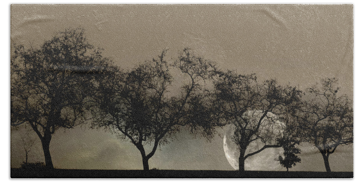 Trees Bath Towel featuring the photograph Four Trees and a Moon by Ann Bridges