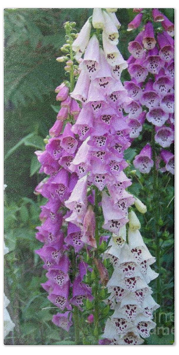 Flower Canvas Prints Bath Towel featuring the photograph Foxglove After The Rains by Eunice Miller
