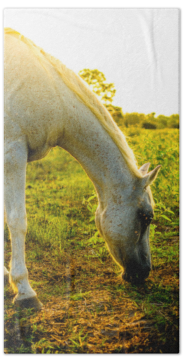 Horse Bath Towel featuring the photograph Freckles at Sunset by David Morefield