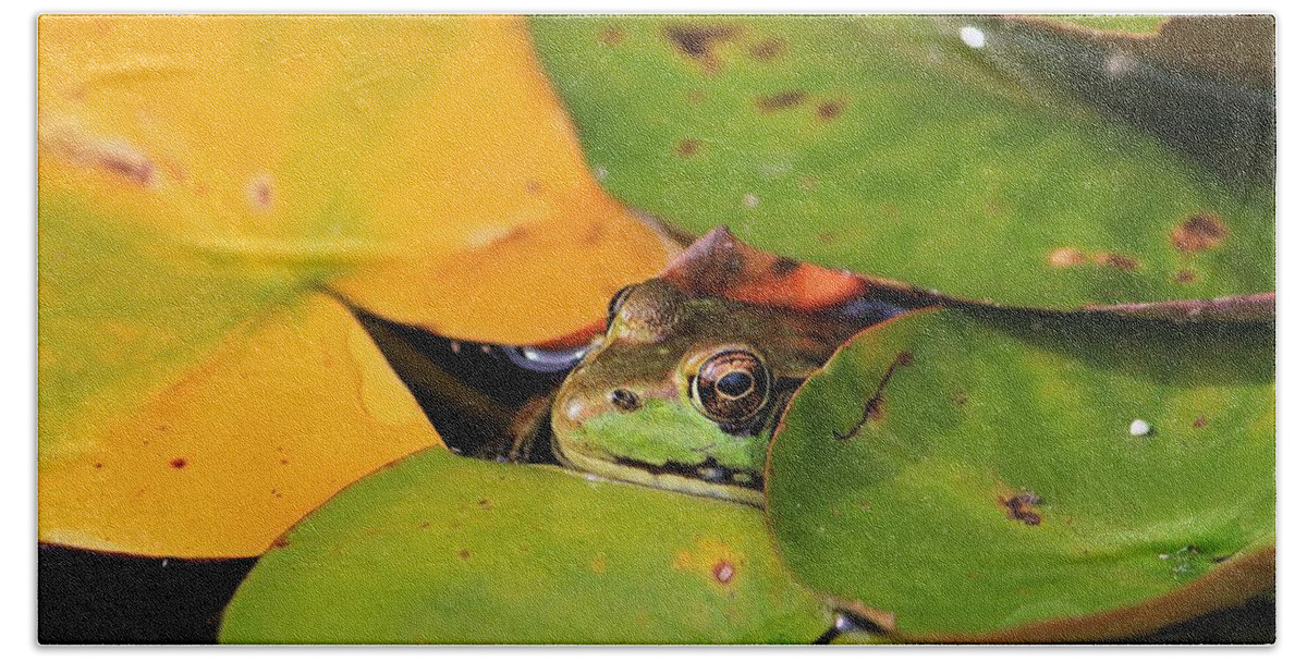 Frog Hand Towel featuring the photograph Frog Pond 3 by Michael Saunders