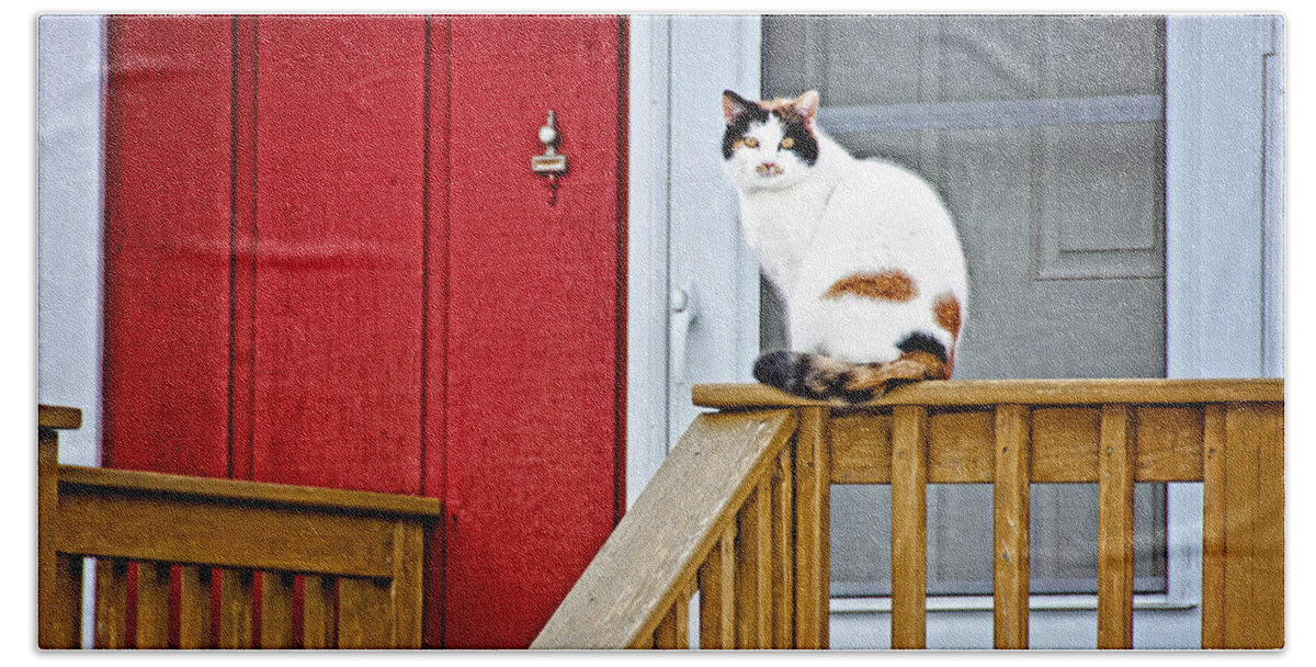 Cat Bath Towel featuring the photograph Front Porch Cat by Donna Doherty