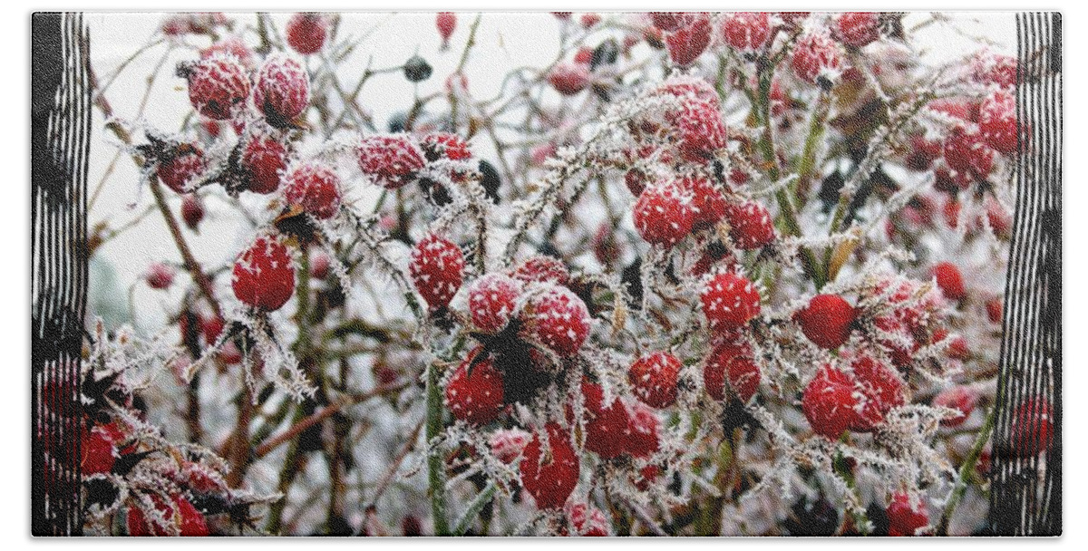 Frost On The Rosehips Bath Towel featuring the photograph Frost On The Rosehips by Will Borden