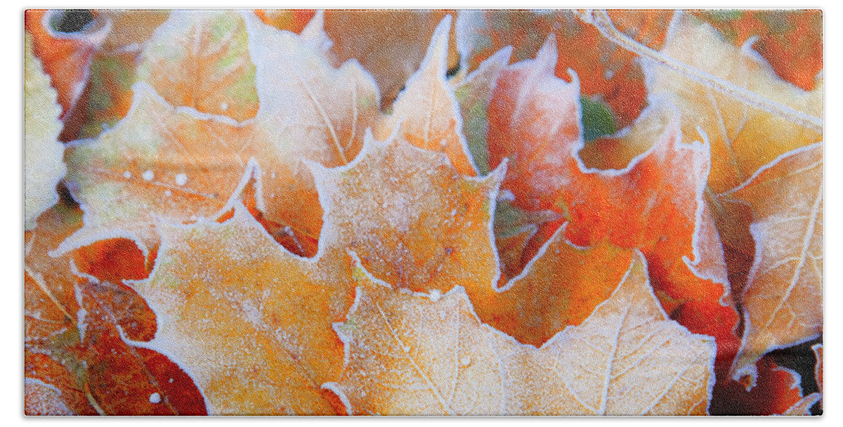 Autumn Bath Towel featuring the photograph Frost Touched by Theresa Tahara