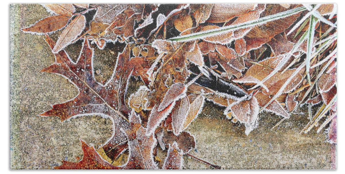 Frozen Bath Towel featuring the photograph Frosty Morn by Michelle Ayn Potter