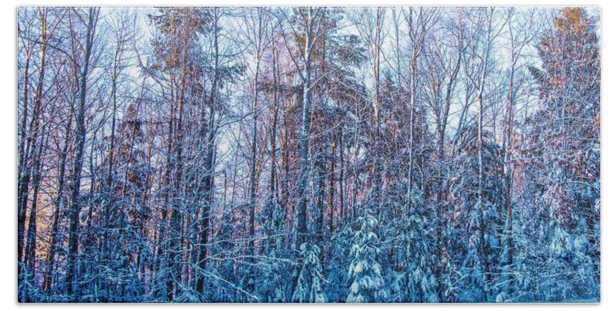 Maine Photos Bath Towel featuring the photograph Frozen Winter by Alana Ranney